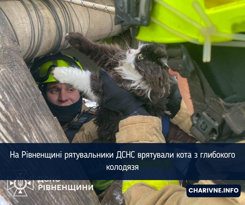 Фото ілюстративне